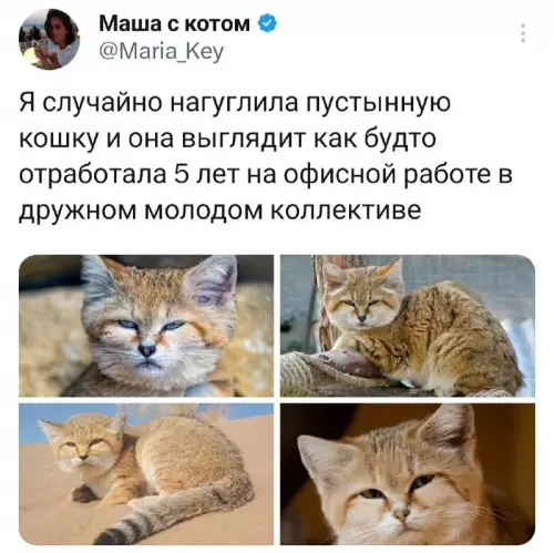Смешная картинка №689282