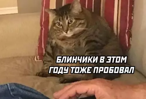 продолжение Смешная картинка №571744