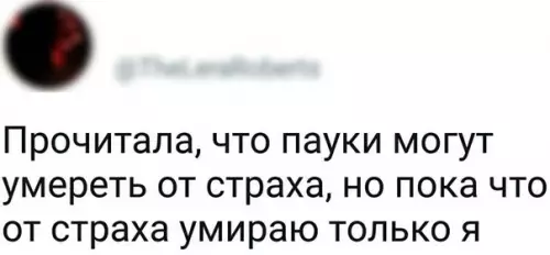 Смешная картинка №259473
