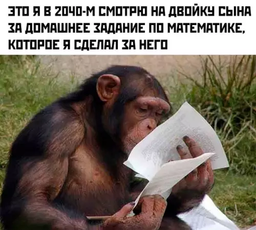 Смешная картинка №454427