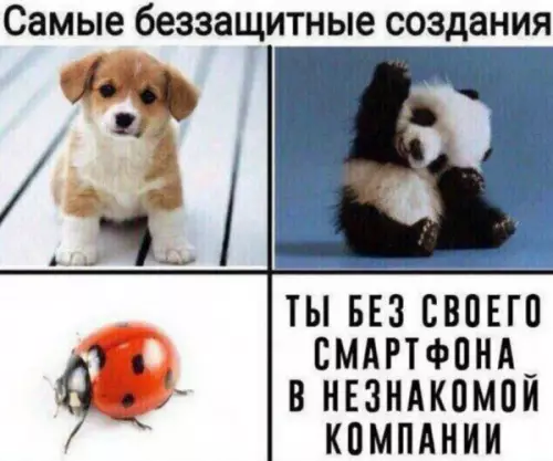 Смешная картинка №659626