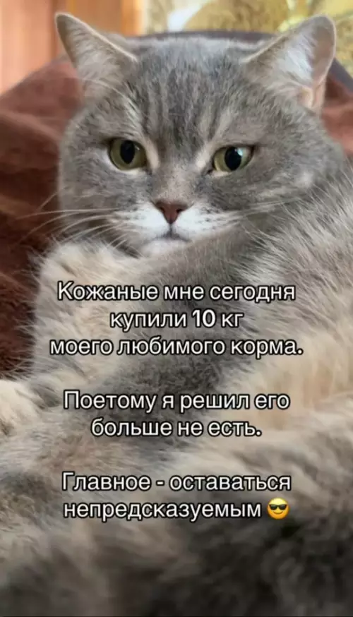 Смешная картинка №801997