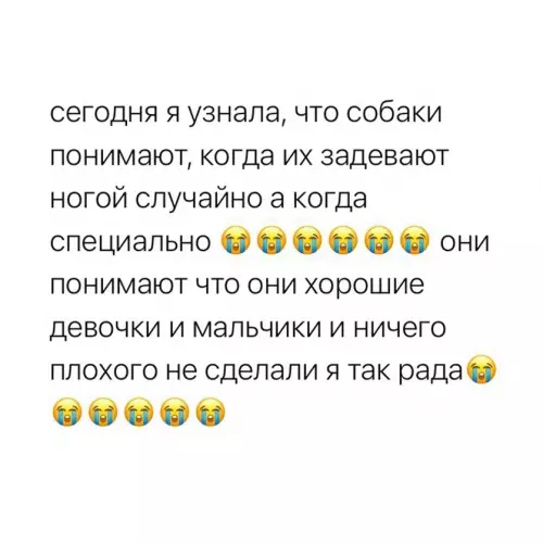 Собаки видят тебя насквозь! 🐶😭 - сегодня я узнала, что собаки понимают, когда их задевают ногой