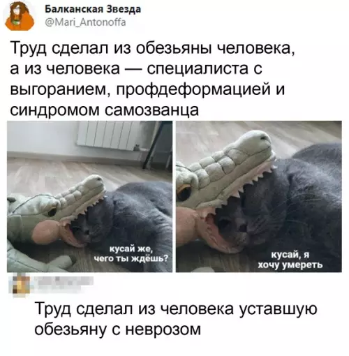 Смешная картинка №560335 Эвoлюция, ты нe тyдa вoюeшь