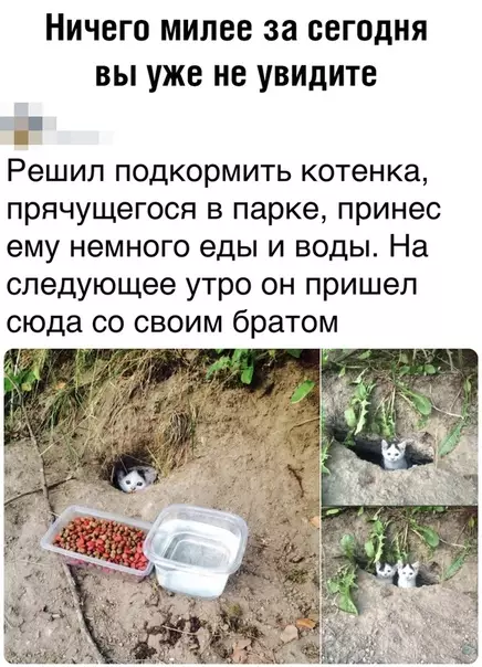 Смешная картинка №363455
