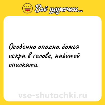 Шутка: Особенно опасна божья искра в голове, набитой опилками.