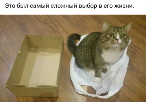 Смешная картинка №229867