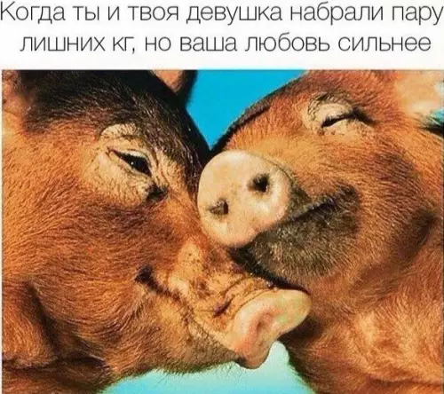 Смешная картинка №356024