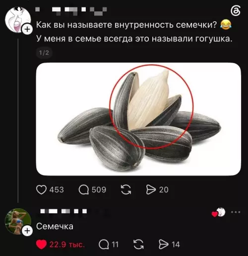 Как ты называешь это? 😂 - Как вы называете внутренность семечки? У меня в семье всегда