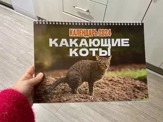 Смешная картинка №707936 Ура, я получил идеальный подарок на НГ!
