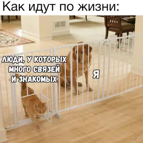 Смешная картинка №198773
