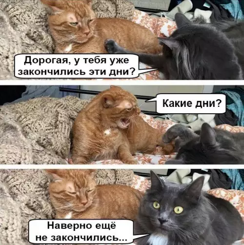 Смешная картинка №220680