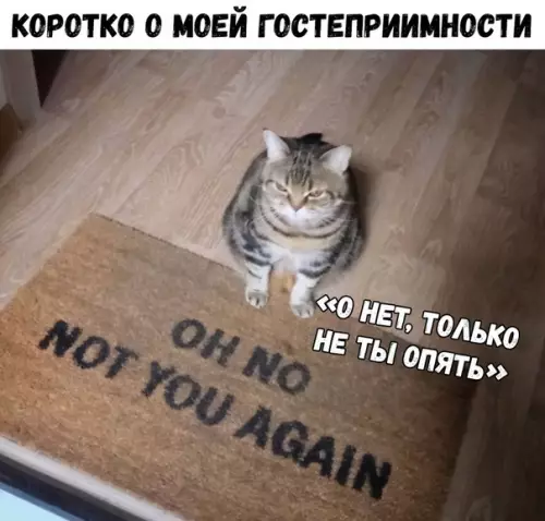 Смешная картинка №324408