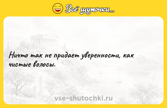 Цитата: Ничто так не придает уверенности, как чистые волосы.