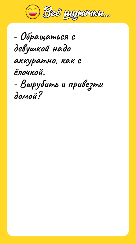 - Обращаться с девушкой надо аккуратно, как с ёлочкой. 