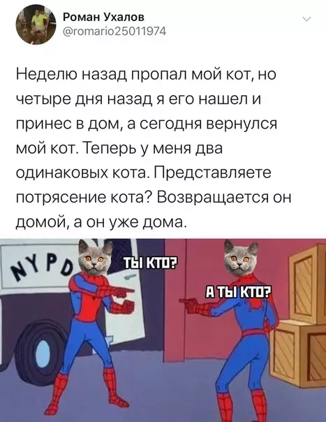 Смешная картинка №454507