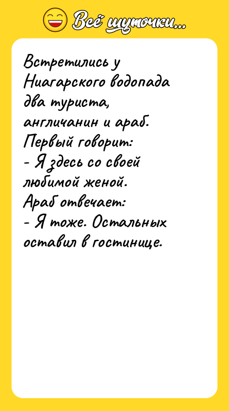 Встретились у Ниагарского водопада два туриста, англичанин и араб. Первый