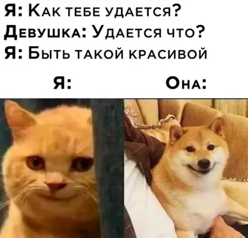 Смешная картинка №686656