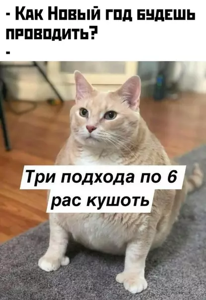 Смешная картинка №434985 новый год