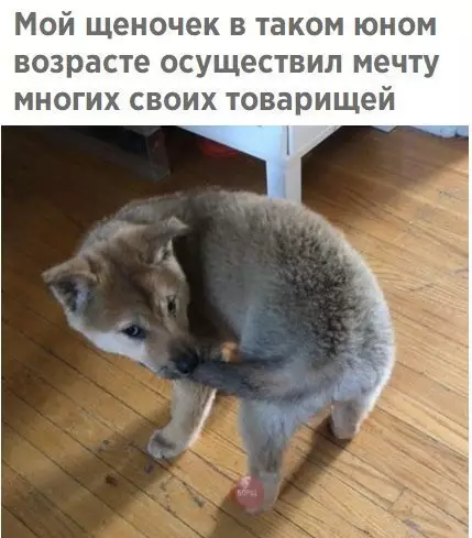 Смешная картинка №279273