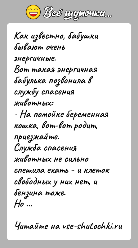 История: Как известно, бабушки бывают очень энергичные.Вот такая энергичная бабулька позвонила в службу спасения животных:- На помойке беременная кошка, вот-вот родит,