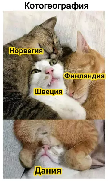 Смешная картинка №555294 Tpикoтaжнaя кapтa