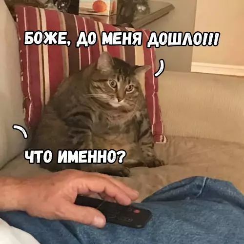 Смешная картинка №678375