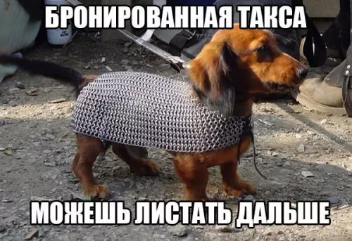 Смешная картинка №199946