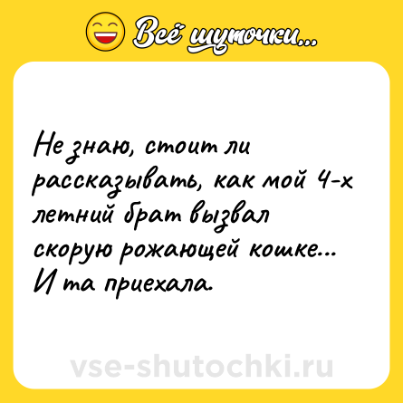 Шутка: Не знаю, стоит ли рассказывать, как мой 4-х летний брат вызвал скорую рожающей кошке... И та приехала.