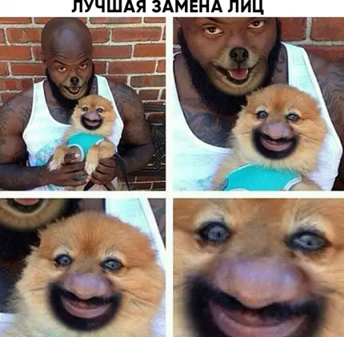Смешная картинка №282828