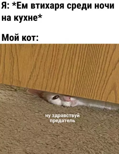 Смешная картинка №651653