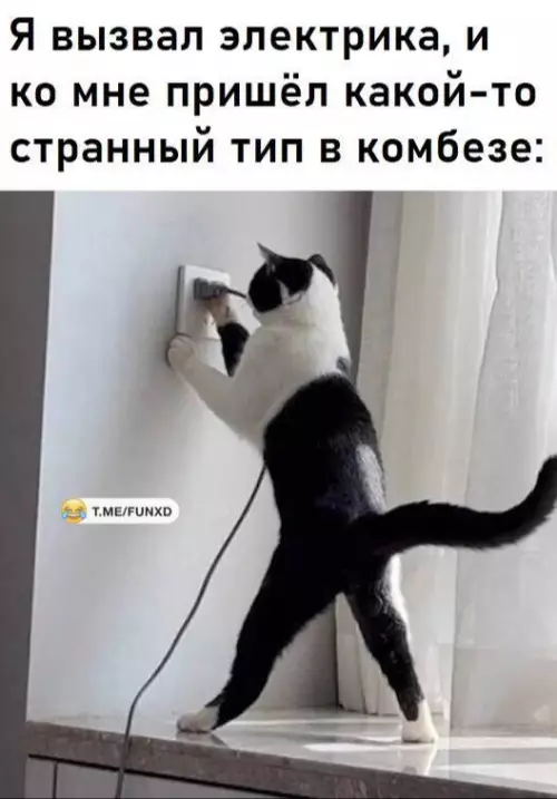 Смешная картинка №703616