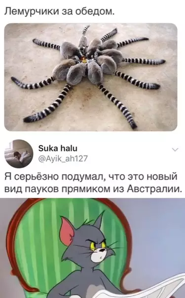 Смешная картинка №377192