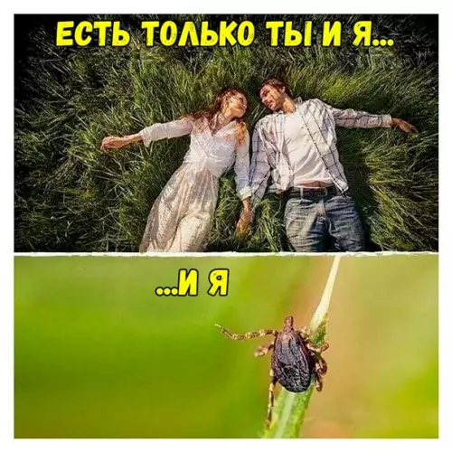 Смешная картинка №353116