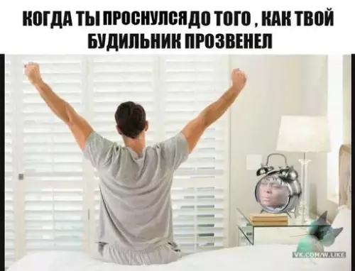 Смешная картинка №313474