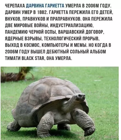Смешная картинка №317243