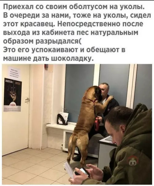 Смешная картинка №478762 А мне батя в поликлиниках только подзатыльники давал...