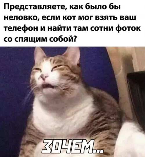 Смешная картинка №499137