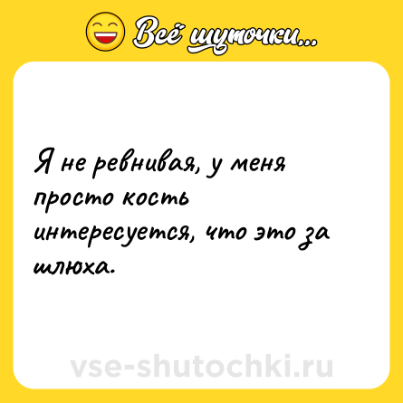 Шутка: Я не ревнивая, у меня просто кость интересуется, что это за шлюха.