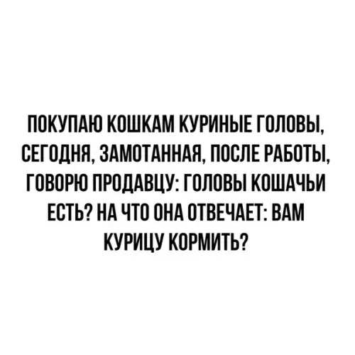 Смешная картинка №381316