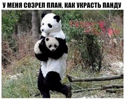Смешная картинка №196834