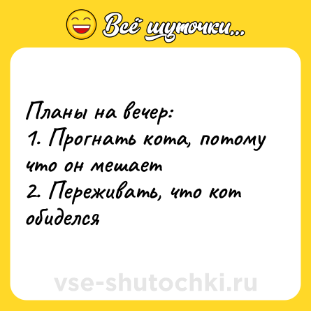 Шутка: Планы на вечер:<br>1. Прогнать кота, потому что он мешает <br>2. Переживать, что кот обиделся