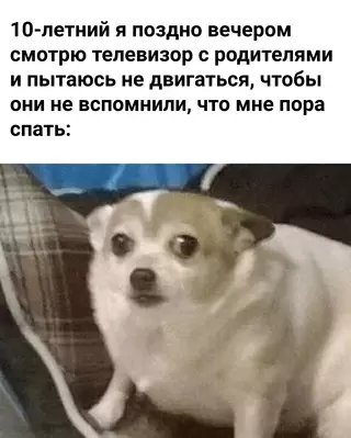 Смешная картинка №658069 про детей