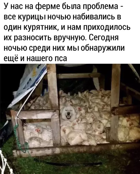 Смешная картинка №478205