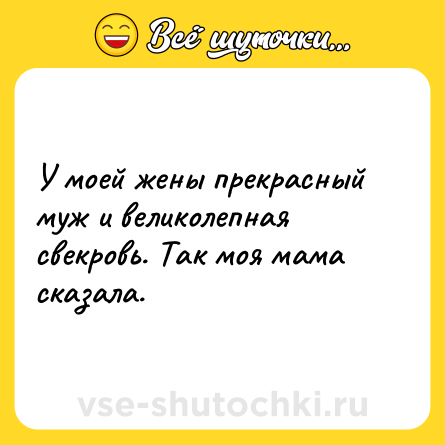 Шутка: У моей жены прекрасный муж и великолепная свекровь. Так моя мама сказала.