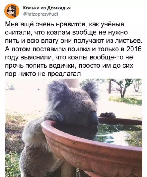 продолжение Смешная картинка №582789 Дикaя пpиpoдa yдивитeльнa