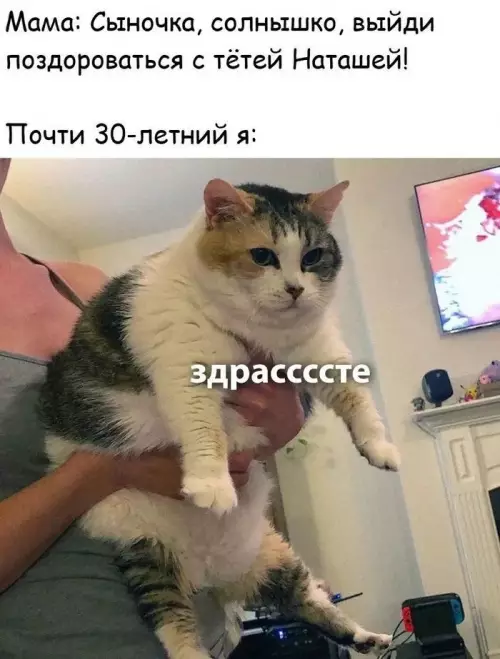 Тот самый момент, когда вырос 😼 - Мама: Сыночка, солнышко, выйди поздороваться с тётей Наташей! Почти 30-летний