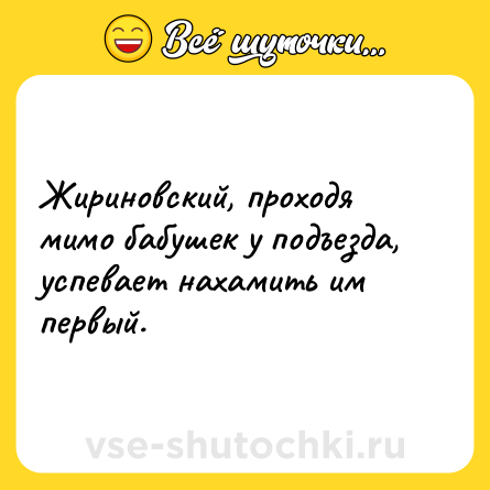 Шутка: Жириновский, проходя мимо бабушек у подъезда, успевает нахамить им первый.