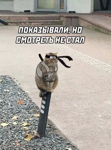продолжение Смешная картинка №595620 Про рыбов
