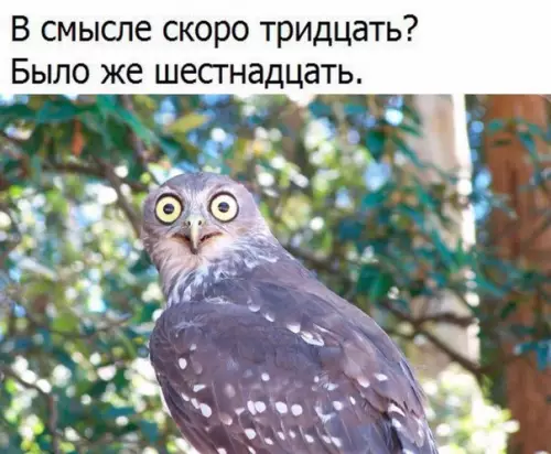 Смешная картинка №255605